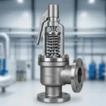 Open bonnet safety valve exposed spring chamber