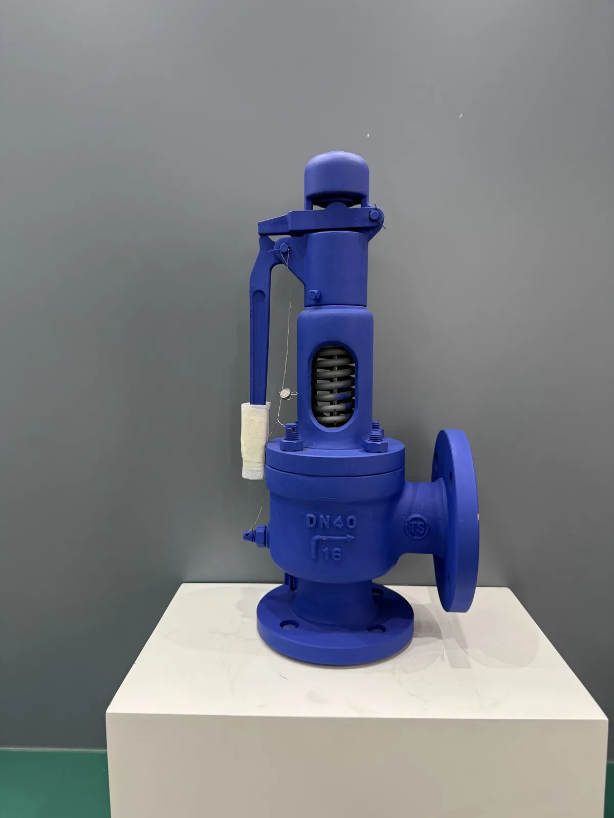 ZOBAI blue flanged spring-loaded safety valve on display