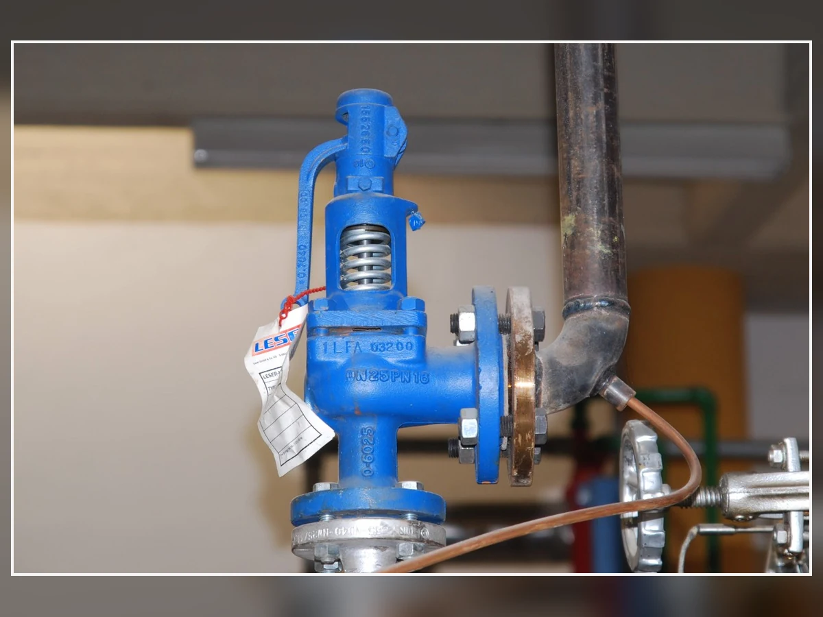 Real Safety Valve Product Reference — Side Angle Real blue steam boiler safety valve shown from the opposite side