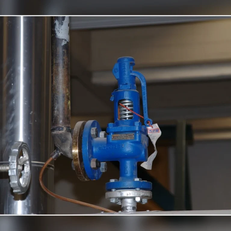 Pop-action and modulating pilot-operated safety valves compared by response and application boundary.